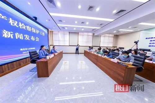 湖北通報(bào)知識(shí)產(chǎn)權(quán)檢察保護(hù)典型案例 侵權(quán)影片2200余部，8人因從事廣告業(yè)務(wù)獲刑